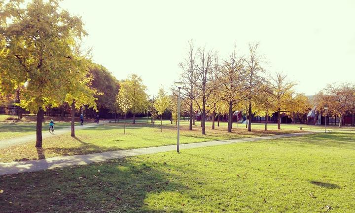 Bayerischer Biergarten